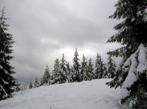 Dove sciare in Basilicata - Neve sul Monte_Pierfaone